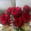 dorra2523