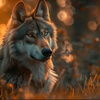 wolf__208