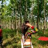 parshnatamang7