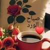 mohammad.hashad