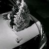 16_ahmadoff