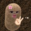 woyhan8