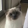 usernamerio8