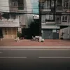 daihoangmangcuhothoang