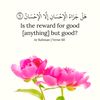 hadija332