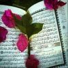 user35332204204743