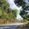 nguyenthiphuongli8