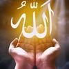 user7204323484713