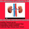 gasper.mallya5
