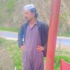 zahir.gull839