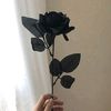 winn_360