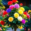 md.samim.ahmed655