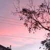 reutrandom