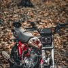 125_hondalover7