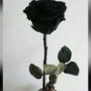 asmaa.hamza84