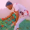 lilgc06