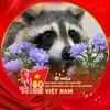 vn.duc23