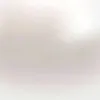 99.angelinaa