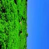 user6121082713085