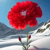 rafi.ullah.swati6