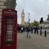 amaliabck2
