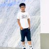 saif__2012