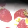 __4crt