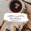 amina.abdelhadi4