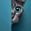 rthuro_0