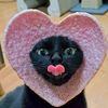 you_are_petushara