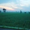 jaka.kelana485