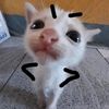 y0ur.titaa
