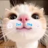 ryuu.meow