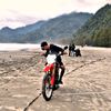 ardi.pangkas