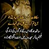 muhammadanass459