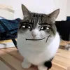 zeneil__