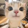 flipfl0pl