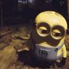 y_kenapaa