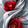 asas1222505050