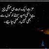 muhammad.hassan3304
