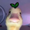 chrlyzxs_