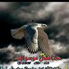user507661594096