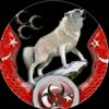 mustafa.korkmaz588