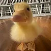 marnie.com_vietnam
