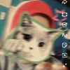 qasehnur10_