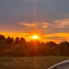 livike_m