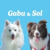 we_are_gabu_sol