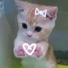 pvmm_hpvwjcel5