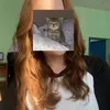 iilaayy8