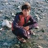 walikhan7740